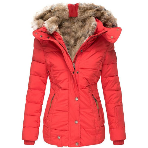 Long Sleeve Winter Cotton Coat With Fur Collar | Slim Fit Cotton Coat